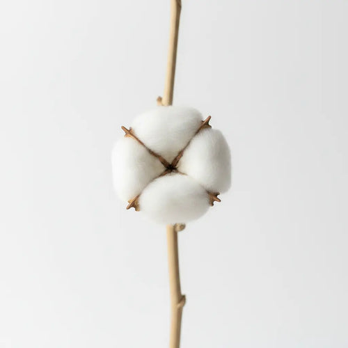 Échantillon – Sable de bougie parfumé (9g) Maison Garrec
